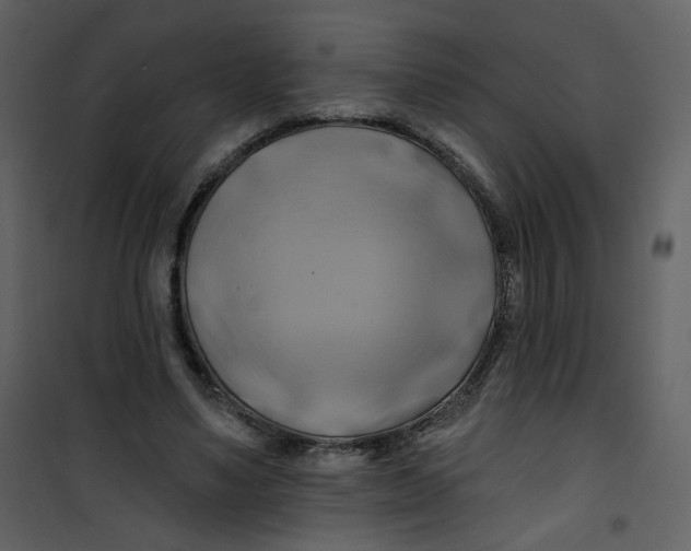 X0000100780491200807171446