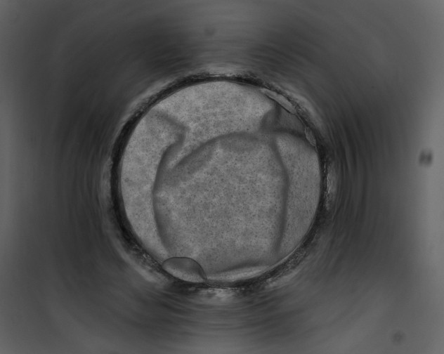 X0000100780492200807171446