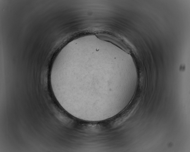 X0000100780493200807171446
