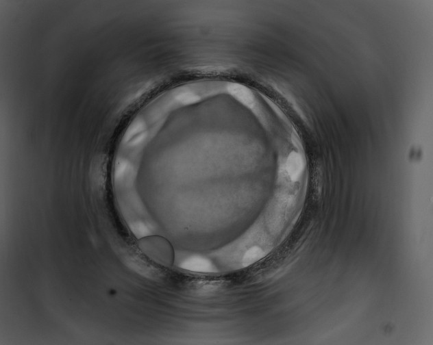 X0000100780495200807171446