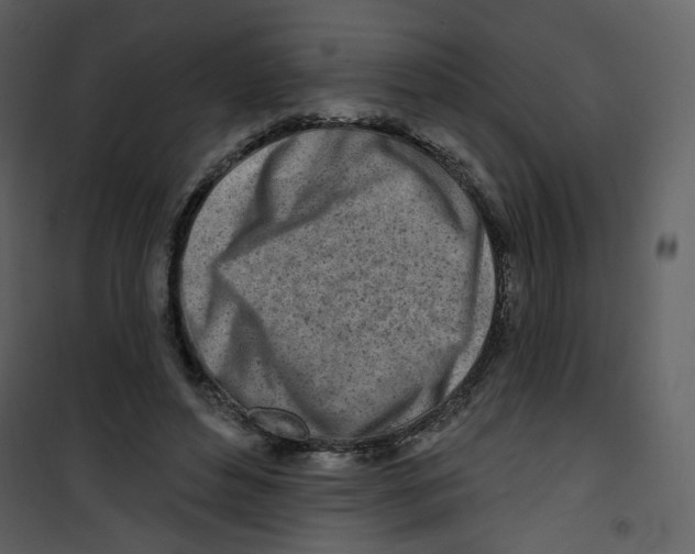 X0000100780496200807171446