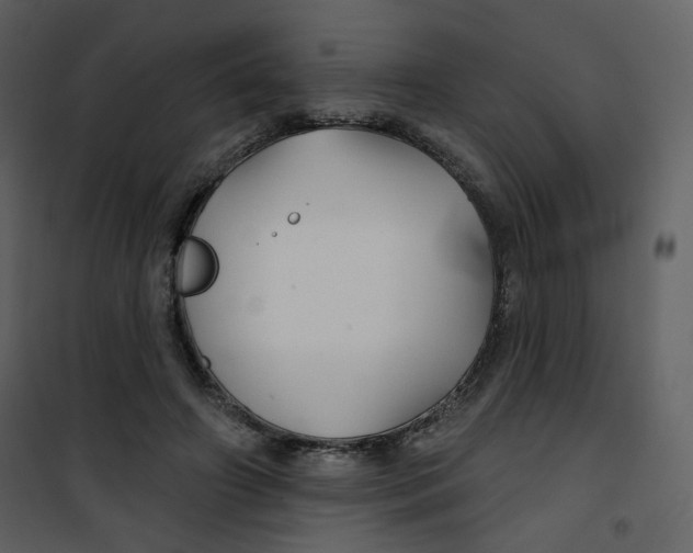 X0000100780498200807171446