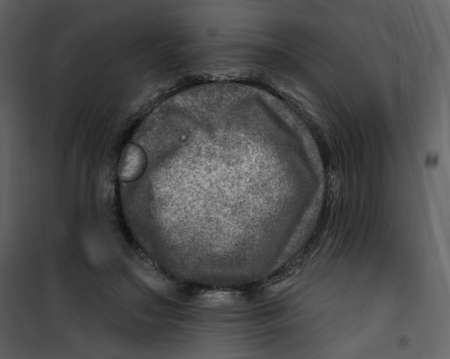X0000100780499200807171446