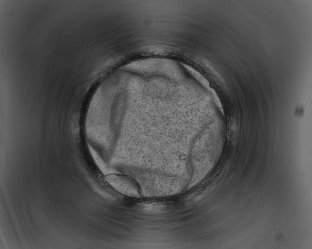 X0000100780500200807171446