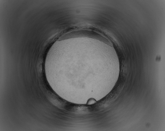 X0000100780501200807171446