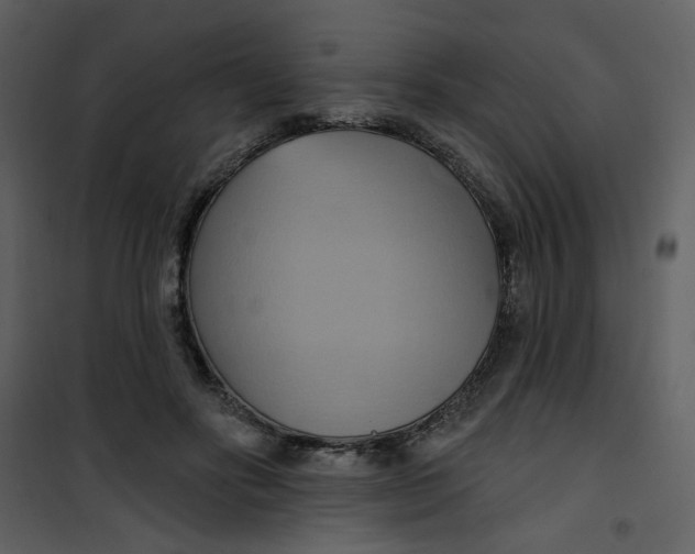X0000100780502200807171446