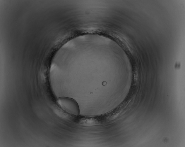 X0000100780503200807171446