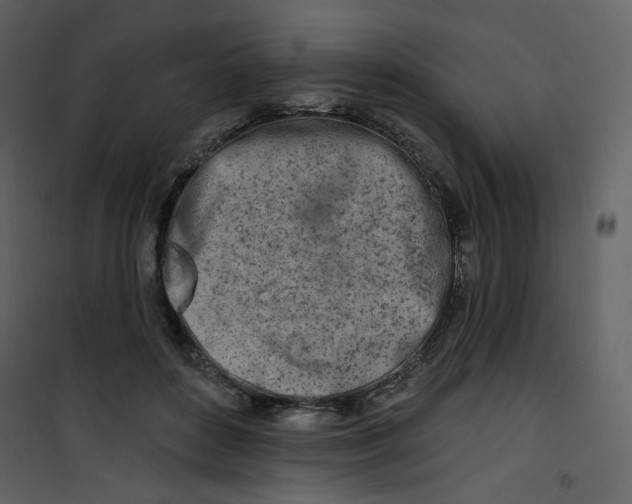 X0000100780504200807171446