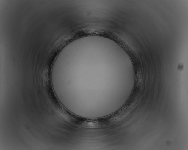 X0000100780506200807171446