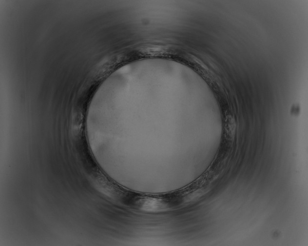 X0000100780507200807171446