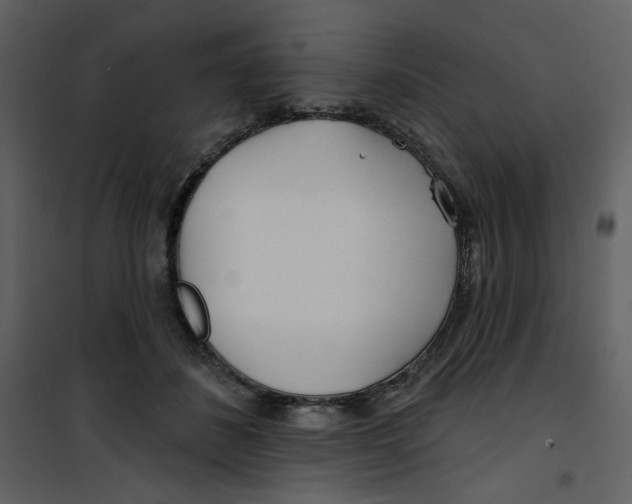 X0000100780508200807171446