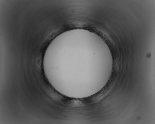 X0000100780509200807171446