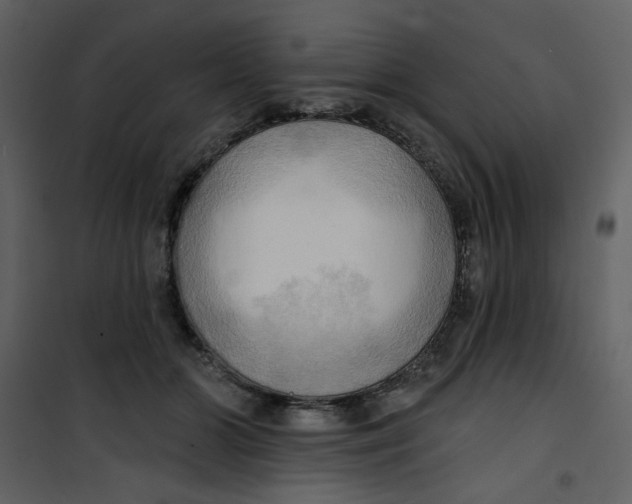 X0000100780510200807171446