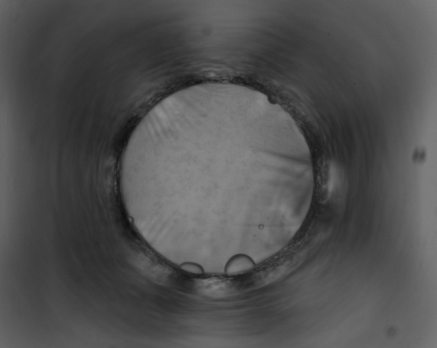 X0000100780511200807171446