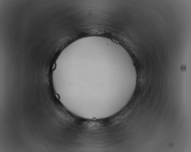 X0000100780512200807171446