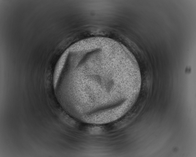 X0000100780513200807171446