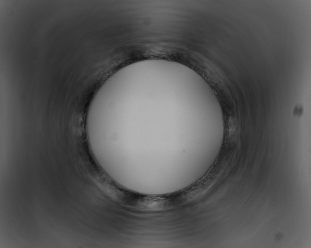 X0000100780514200807171446