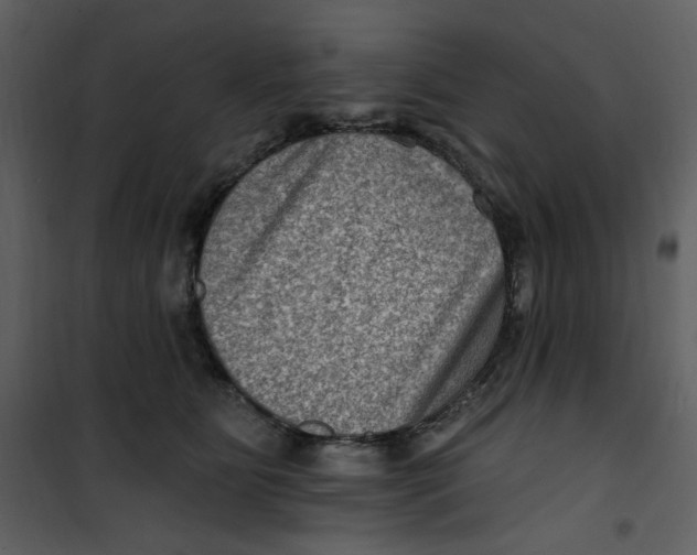 X0000100780515200807171446