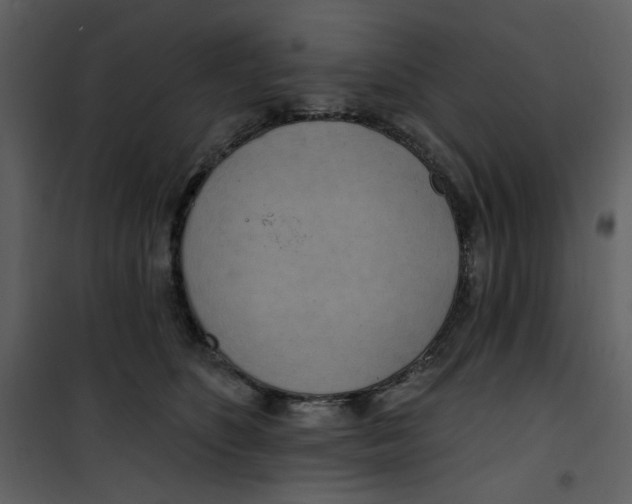 X0000100780516200807171446