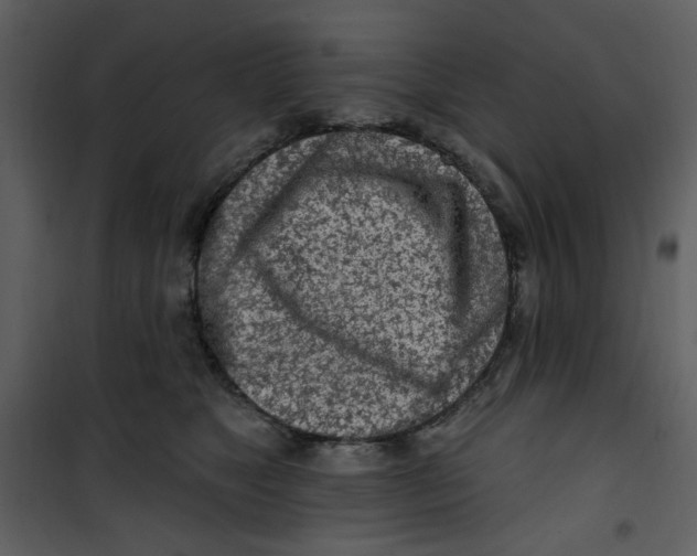 X0000100780517200807171446
