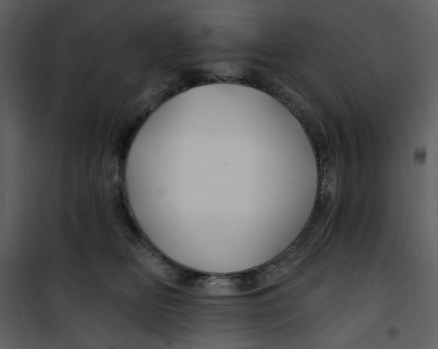 X0000100780518200807171446