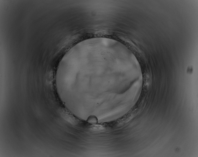 X0000100780519200807171446