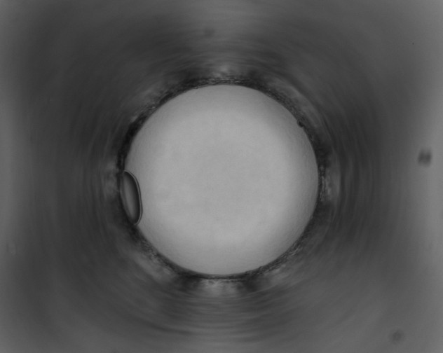 X0000100780520200807171446