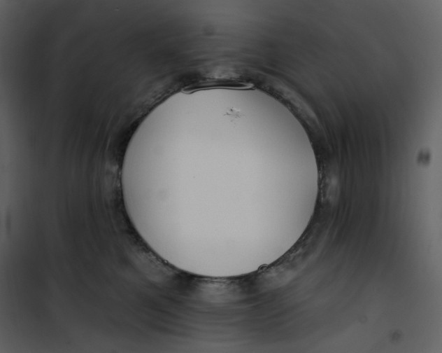 X0000100780521200807171446