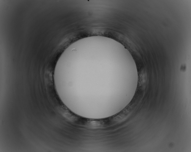 X0000100780522200807171446