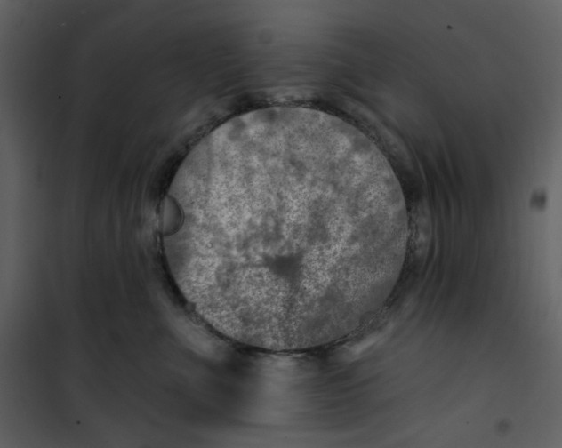 X0000100780523200807171446