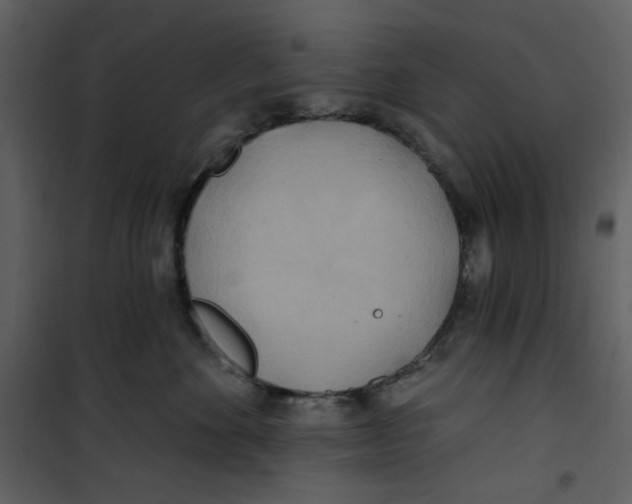 X0000100780524200807171446