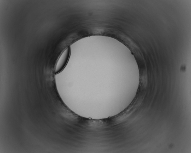 X0000100780525200807171446