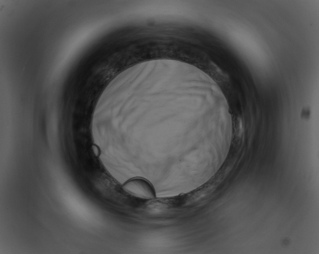 X0000100780526200807171446