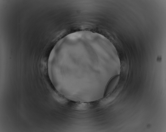 X0000100780527200807171446