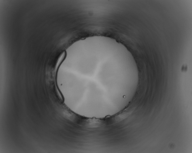 X0000100780528200807171446