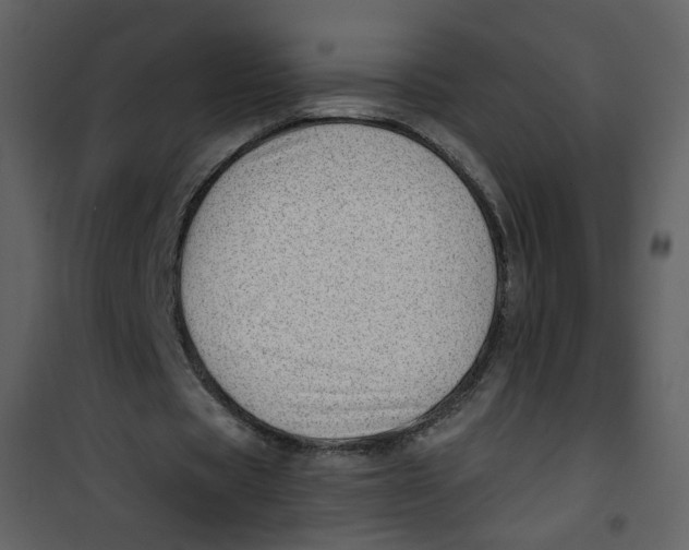 X0000100780529200807171445
