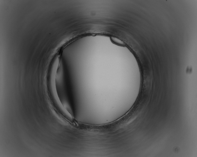 X0000100780530200807171445