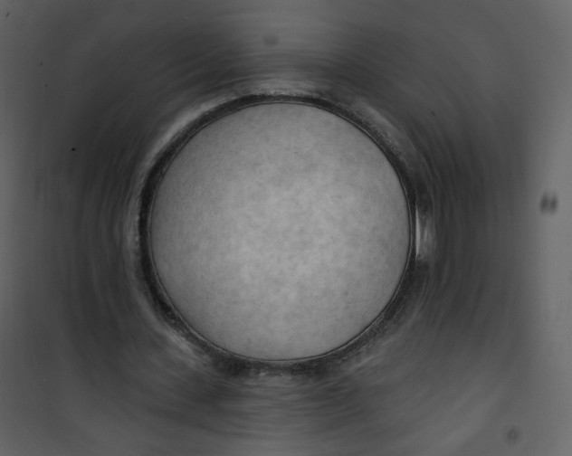 X0000100780531200807171445