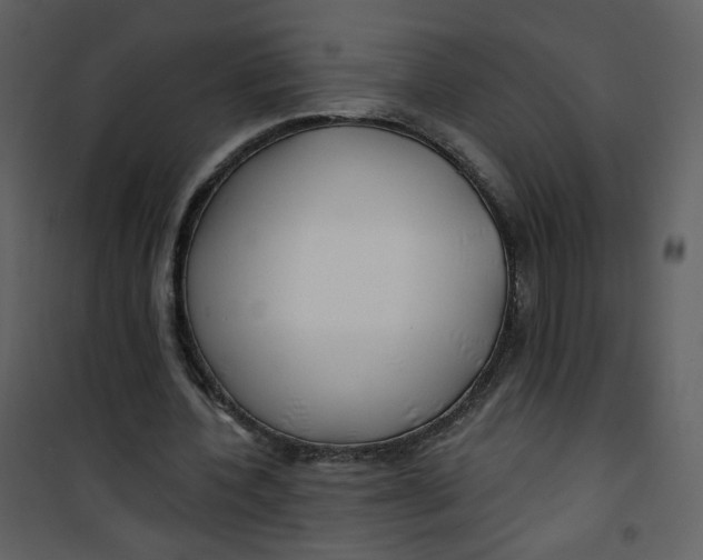 X0000100780532200807171445