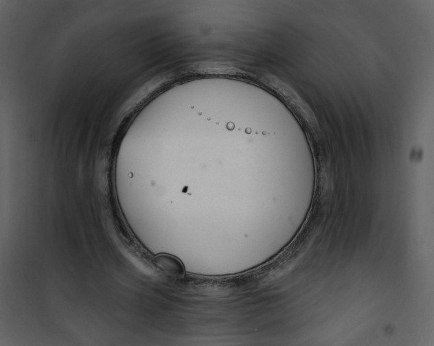 X0000100780533200807171445