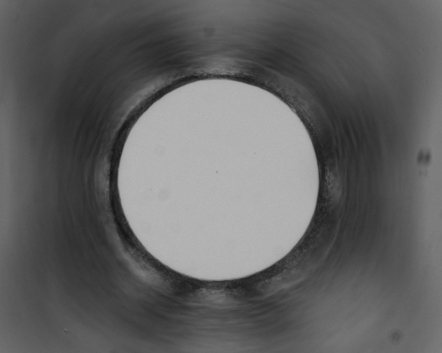 X0000100780534200807171445