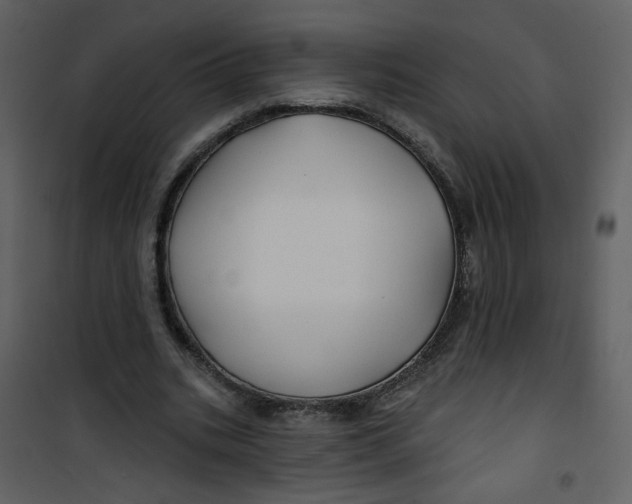 X0000100780535200807171445