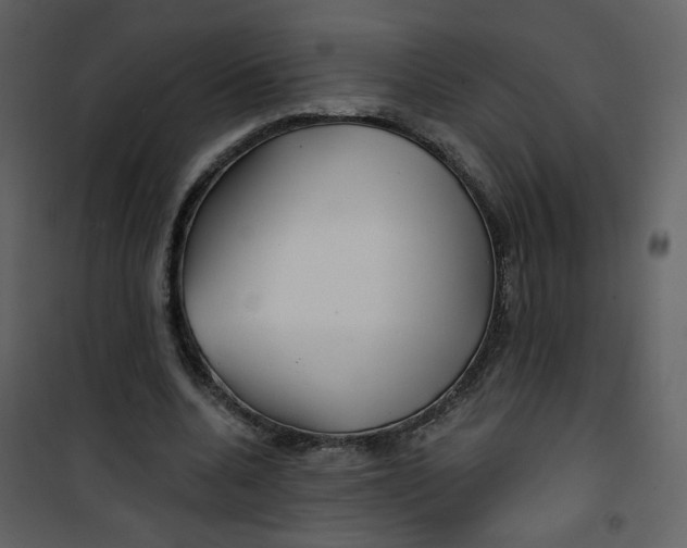 X0000100780536200807171445