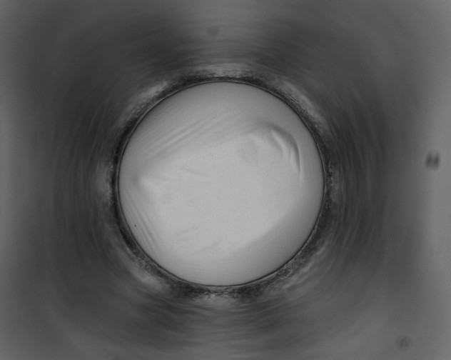 X0000100780537200807171445