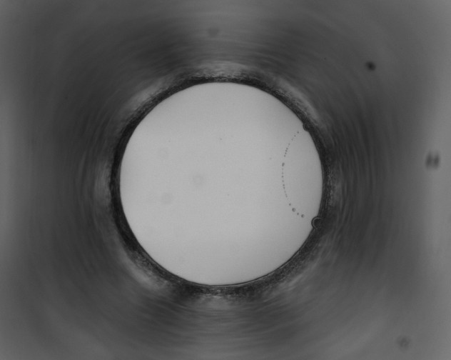 X0000100780538200807171445