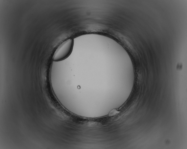 X0000100780539200807171445
