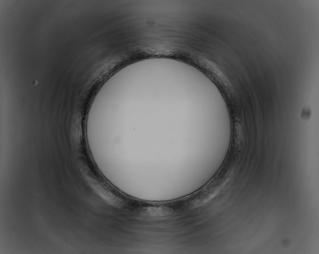 X0000100780541200807171445