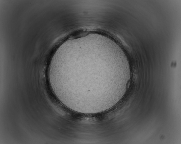 X0000100780543200807171445