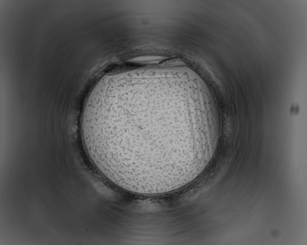 X0000100780545200807171445