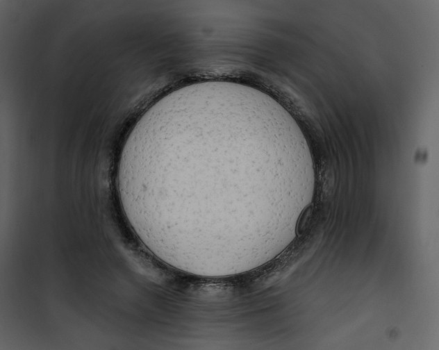 X0000100780546200807171445
